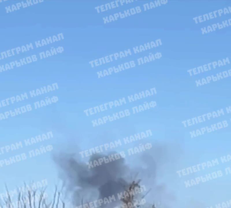 �������: ������, ��������� ��� 8. � ���� ����� ����. � ������ �������� �������� ������