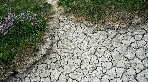 � 2026 ���� � ���������� ������� ��������� ���������� ���� � ������� �������������� ��