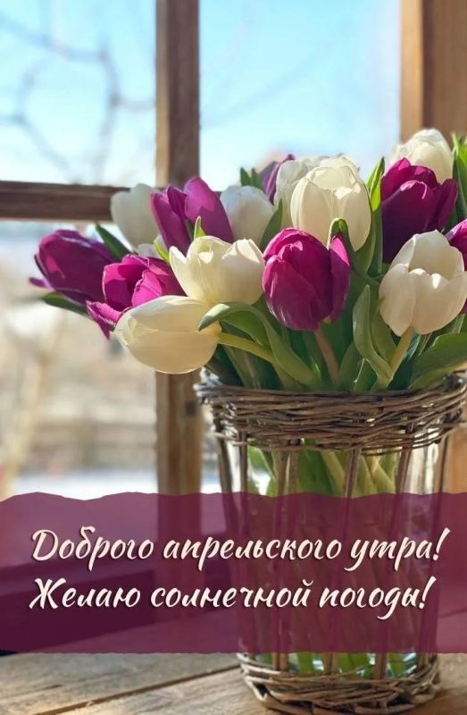 ������ ����, �����!. ������� �������, 2 ������