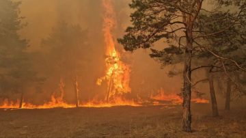 � ���������� ������� � 1 ������ ������� ������������� ������