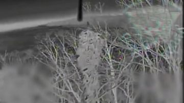 ����������� ���������� ��� ������ � � �������, �� ��������� ������ �� �������������