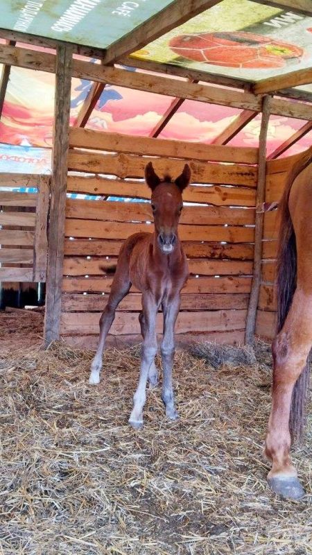 � ��������� � ����������! � ������ ����� �� ���� �������� �������