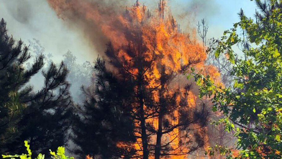 � ���������� ������� ���������� ���������� ������, ������������ ������ ��������� �������