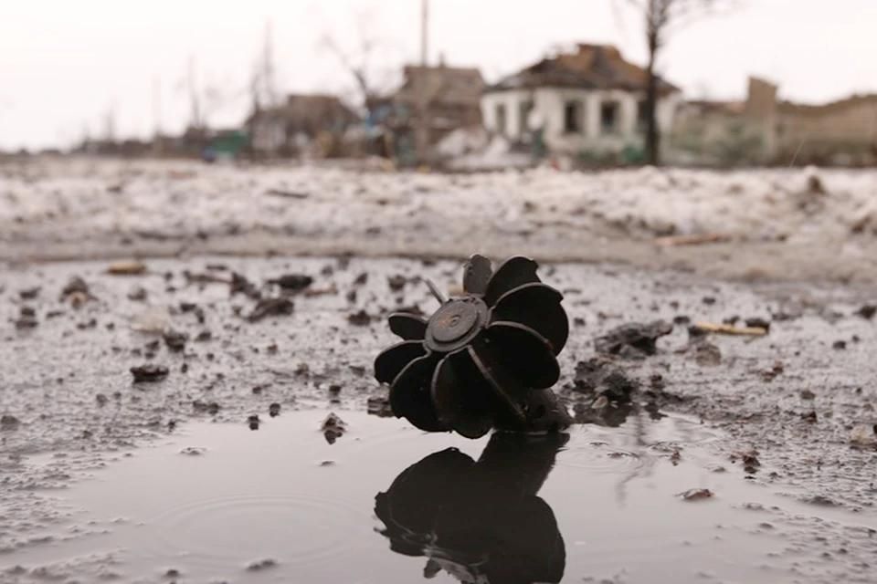 ��� ��������� 38 �������� �� ����������� ���������� ������� �� �����