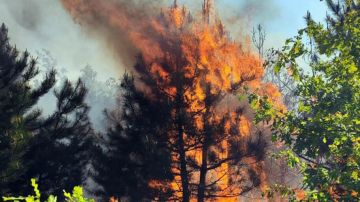 � ���������� ������� ���������� ���������� ������, ������������ ������ ��������� �������