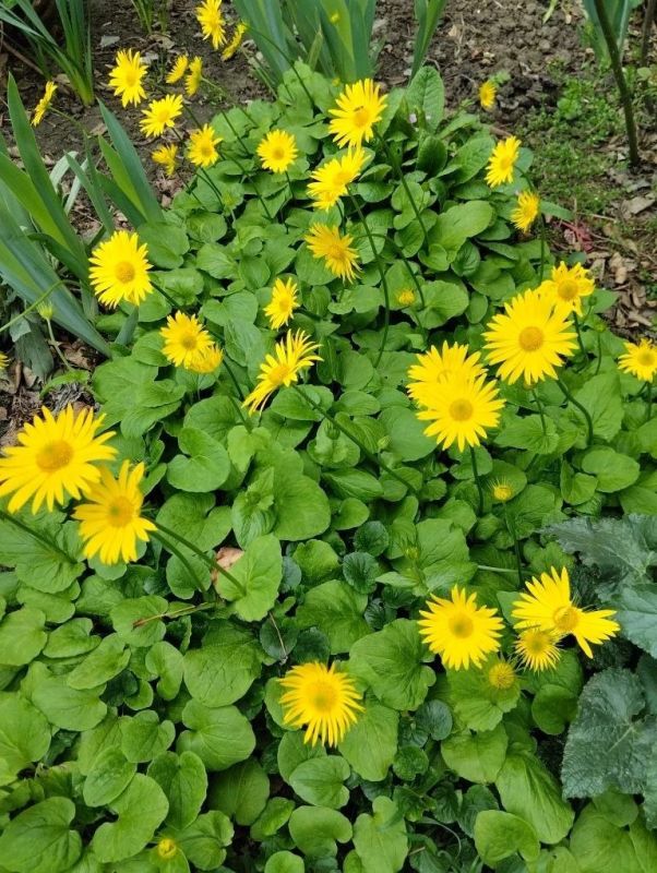 � ������ �����, ������! ���� �������� ����������, �������� � ���������!