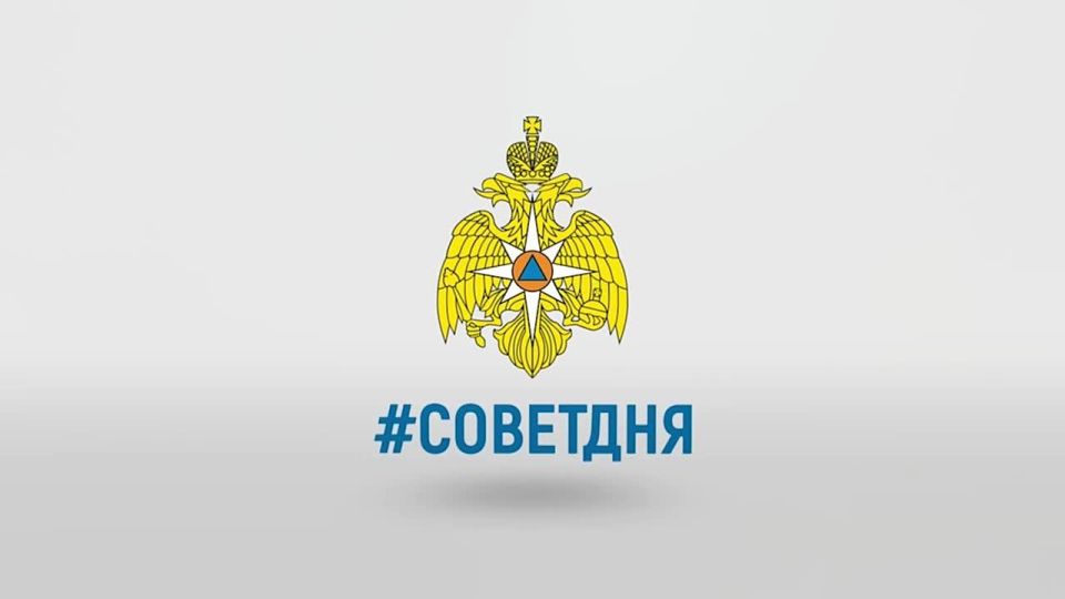 #��������. ��� ������ ����������: