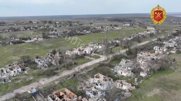 ��������� ������� FPV-������ ��������� ����� �����������-����������� ������� ����������