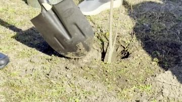 �� ���� �������� ������ �������� ����� ���� ������