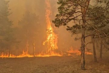 � ����� ������� � ������� ������� ���������� ������� ���������� ���� �������