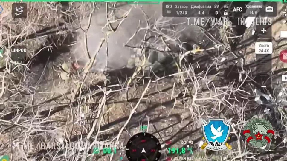 ���� ������ ����. ��������-����� ���������� �������