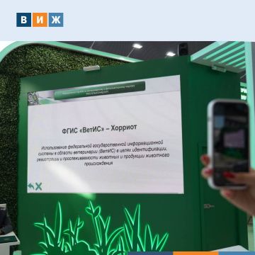 ������ �������� ������� �� ������ � ������� �������� ��� ������������ ������