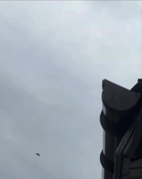 ���� ����� ��� �������� ��������