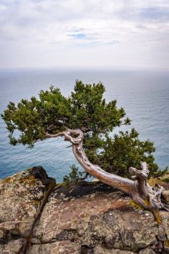 ����� ����� �� ������ ���. ��������� ������ ������ ������� ���������