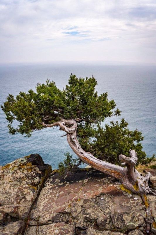 ����� ����� �� ������ ���. ��������� ������ ������ ������� ���������