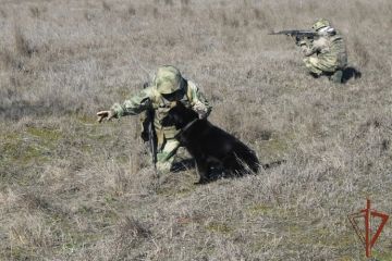 ����� ���������� �� ����� ����������� ����� 2600 ������������� ��������� � ���������� � ����������� ��������