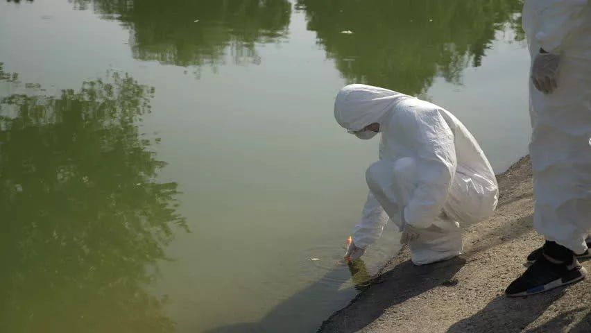 ���� �� �������: ������������� ���� � ������� ������������ � �������� �� ������ �������� � ���������, ������������ ������� � ������� ��� ��������� ���������� �����