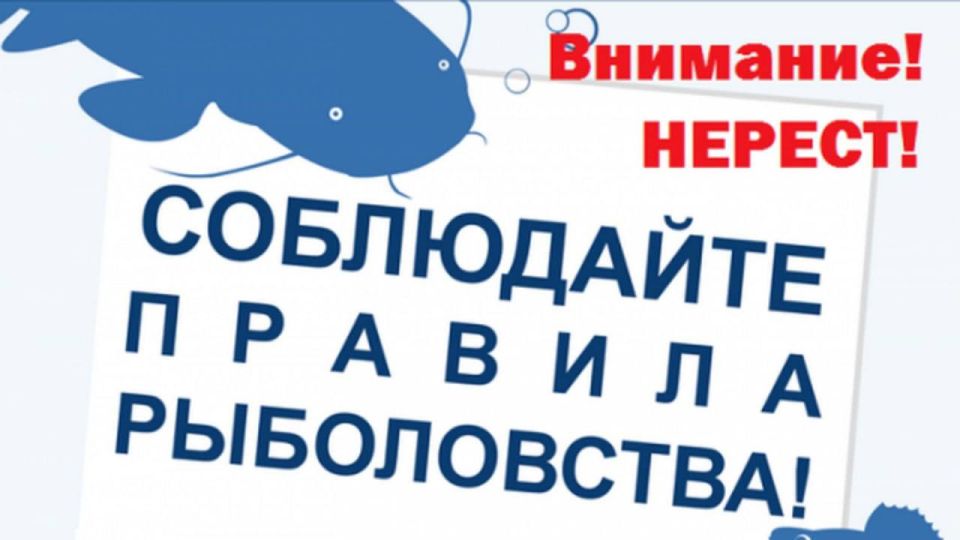 01 ������ 2026 �. � ������ ������ ���������� ������