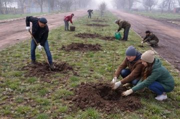 � ����������������� ������ ���������� ����� �� ������� ��������