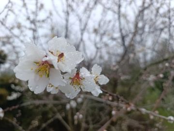 ���� ��������: ������ ����, ������ � ����� ����������� ������!