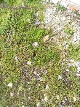 � �� ��� ������.... ������������ ����������: ����� �������� �� ���� �� ��������� � ������������