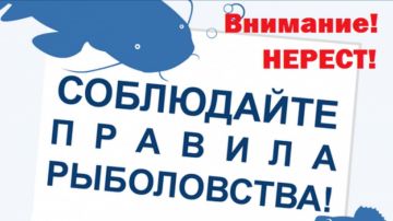 01 апреля 2026 г. в России вводят нерестовый запрет