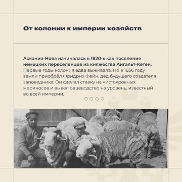 4 ������ � ���� �������� �������� �����-�����