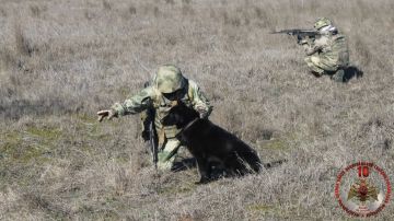 ����� ���������� �� ����� ����������� ����� 2600 ������������� ��������� � ���������� � ����������� ��������