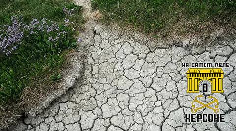 В 2026 году в Херсонской области ожидается засушливое лето — прогноз Гидрометцентра РФ