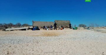 ТАСС: два человека погибли при атаке БПЛА на сухогруз в Азовском море