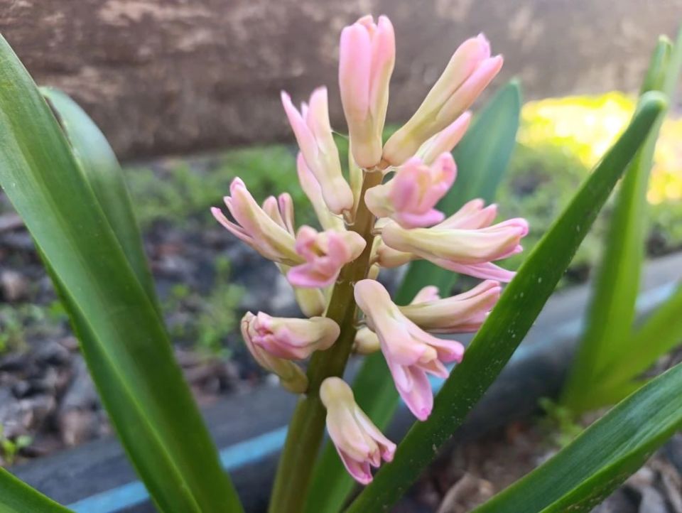 ���� ��������: ������ ����, ������� ������ � ����� ����������� ������!