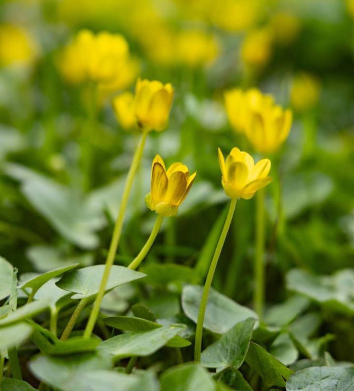 ����� ���������� � �������: ����� � ������ ����������� ������ �������, �� ���������� �� ����� ������