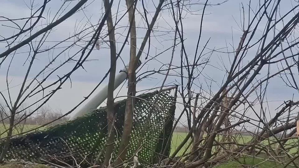 �������� ������ ����� ���������� ������� � ��� ���