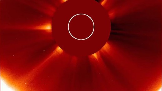 Солнце поглотило самую яркую комету года