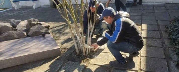 �������� ��������: � ��������� ������ �������: ��� ������������� ���������� � �������������