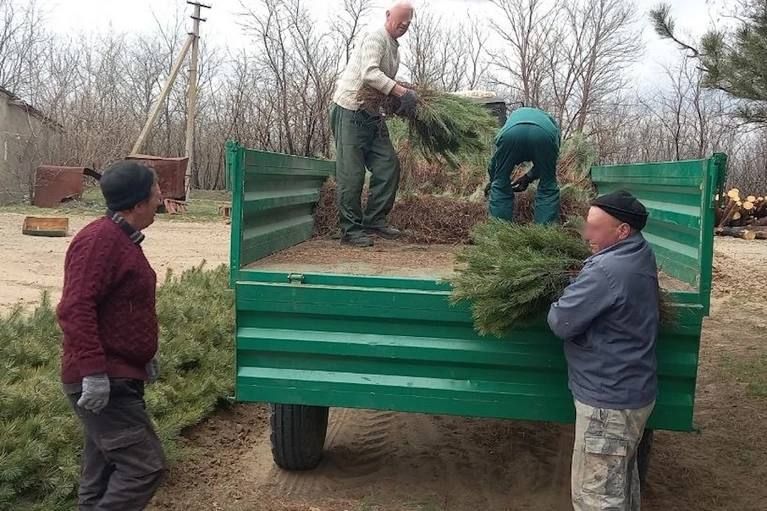 ���������� �������� 60 ����� ������� ����� ��� �������������� ����� ���