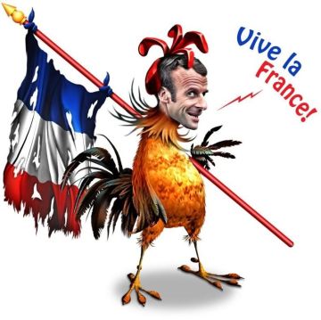 Павел Филипчук: Галльский петух Макрон на днях что-то прокукарекал - про новый миропорядок.