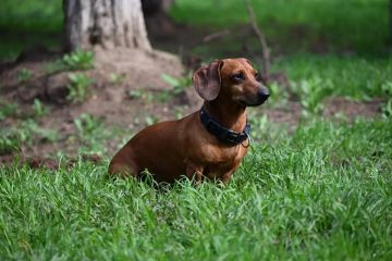 � ��������� �������� 182 ������� ��� � ����� ����������