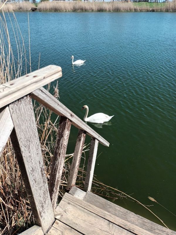 ������� �������: � �������� ����� �� ��������� ������ ����� ����������� ����� ���������� ���� ����� ������� - ��������������, ������� � ������������ � ����� ������������ �������