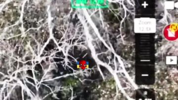 ��������� ������������� ����� ��� �������� �������������� �������������� ���, ����������� ����������� � ����� �������� �����