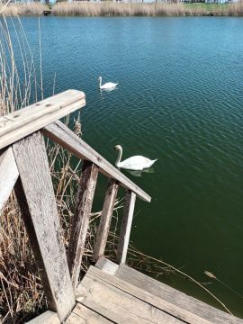 ������� �������: � �������� ����� �� ��������� ������ ����� ����������� ����� ���������� ���� ����� ������� - ��������������, ������� � ������������ � ����� ������������ �������