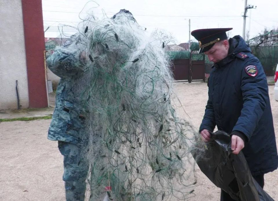 � ���������� ������� ��������� ������������� ���������� ���� � ���������� ������ ������ ������������� ��������