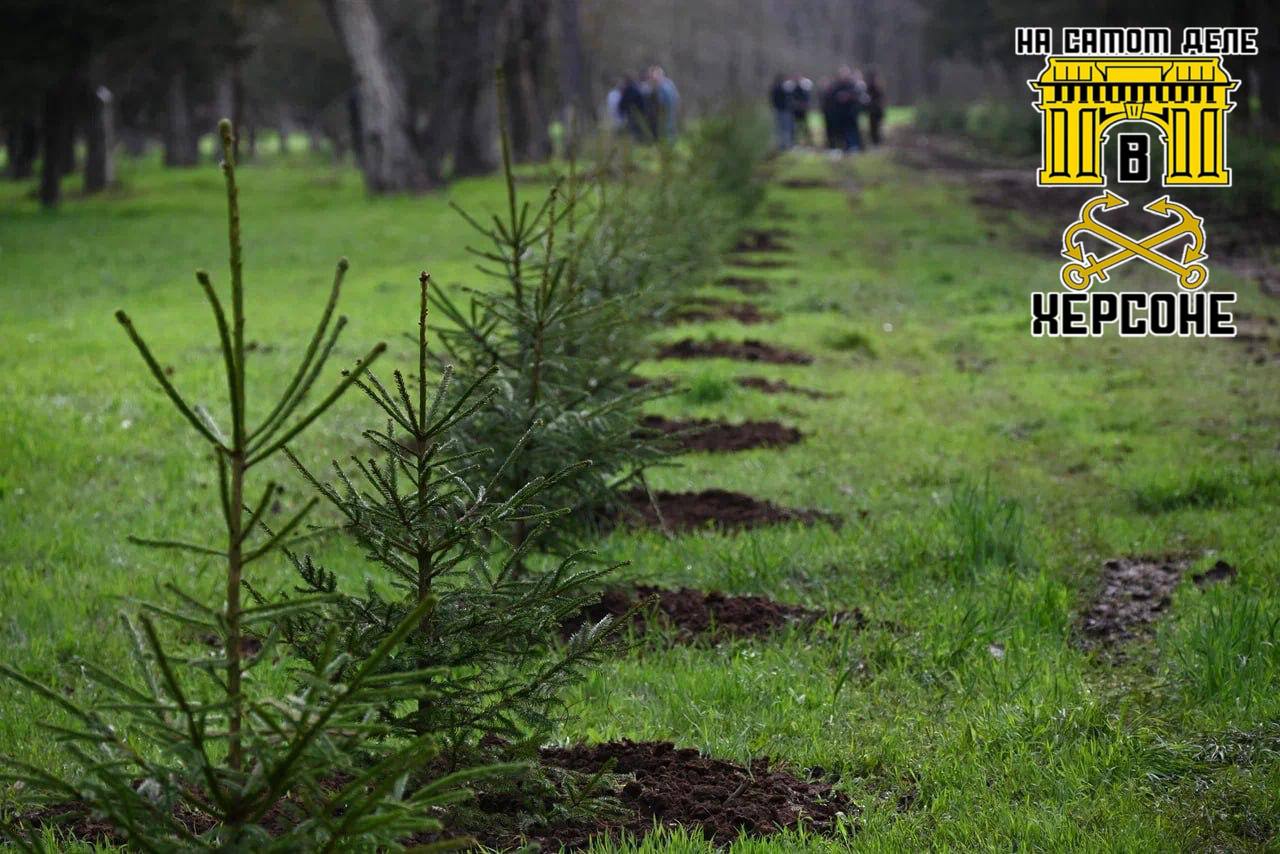 Почти две сотни елей высадили в Скадовске в парке «Молодёжный»