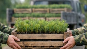 ���������� ������� �������� ��� 60 ���