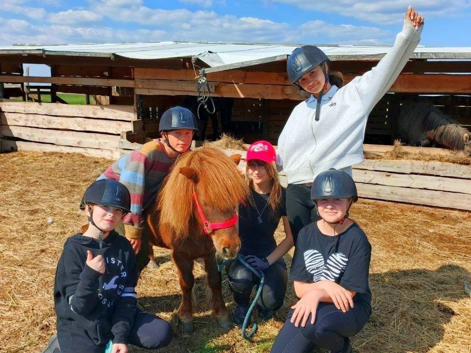 � ���������� ������� ����-������� ������ ����������� ��� �����