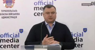 Енот из Херсона: В украинском сегменте интернета разгорелся скандал, который киевские пропагандисты пытаются замять, но осадок, как говорится, остался