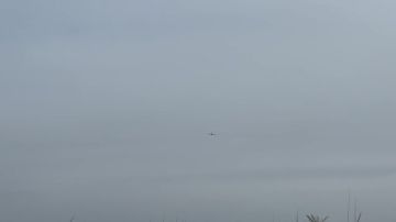 ���� �� �������: ������ �������� ���� �������-2� ����������� ����� ������ ��������� ����� ���������� ���� �� ������ ������ ������ � ���������� �������