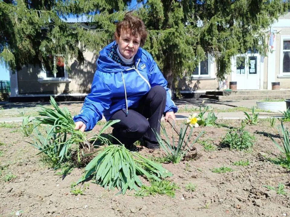 ���, ��� ������ ����������, ����� ����������� ��-����������