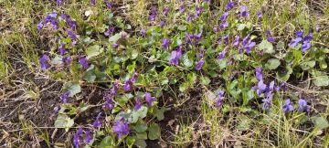 ��� � ����� �� � �����.... ������� ������� ���������� ����� � ��� ���������� ��������, ������� ��� ��� �����