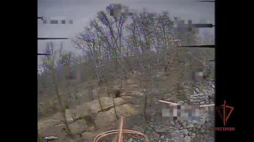 ������������ �� ������ ���������� 40 ��������� ���� �� ���������� � ����������� ������������